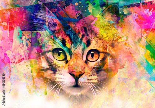 cat head with creative colo...