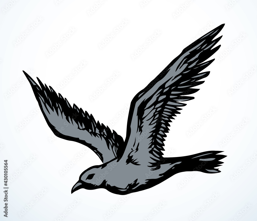 Fototapeta premium Bird in flight. Vector drawing