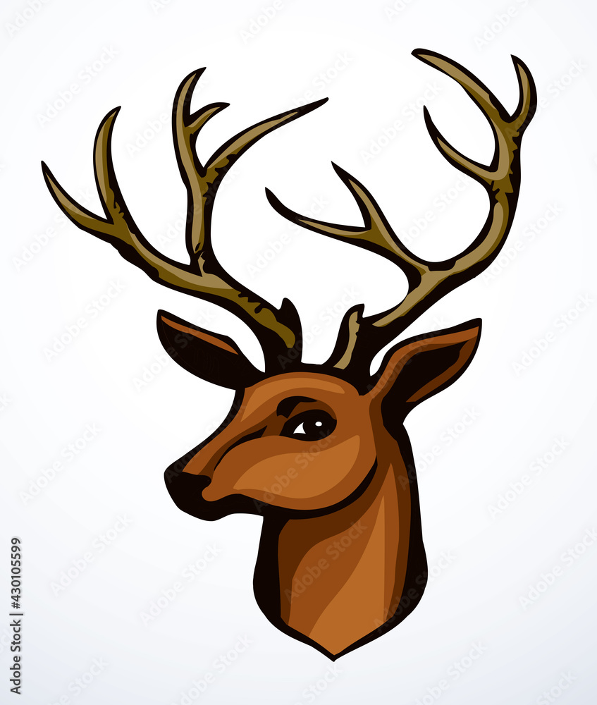 Beautiful noble deer. Vector drawing Beautiful noble deer. Vector drawing
