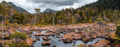 Hiking around Sitka, Alaska. 