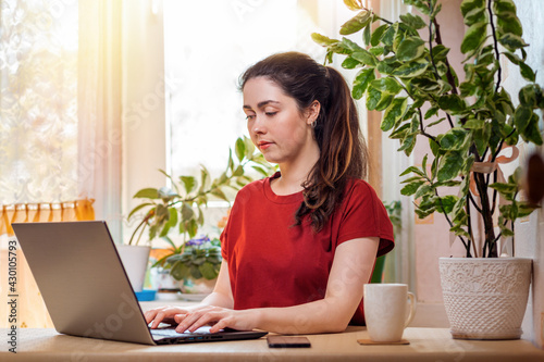 Freelance.A young, pretty woman is typing on a laptop while sitting at her Desk. Home decor, the sun outside the window.The concept of quarantine, self-isolation and remote work