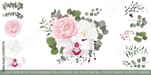 Vector set with red roses and various plants. White orchids, pink roses, gypsophila, berries, eucalyptus, green plants and leaves. All elements are isolated.