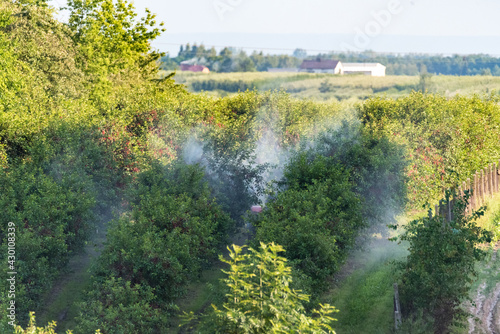 Rawa Mazowiecka, Poland - July 18, 2020: Spraying cherries. Protection of the orchard and trees against pests and diseases. Work on a fruit farm. © PhotoRK