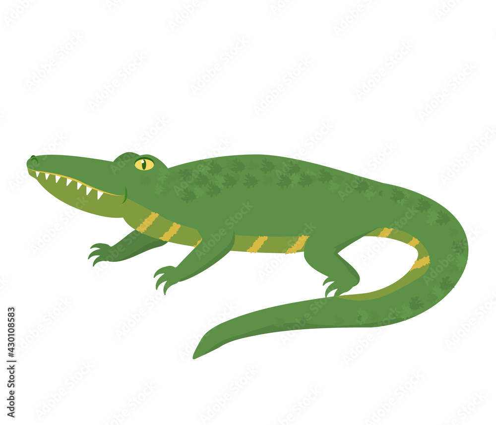 vector illustration of a green crocodile isolated on a white background