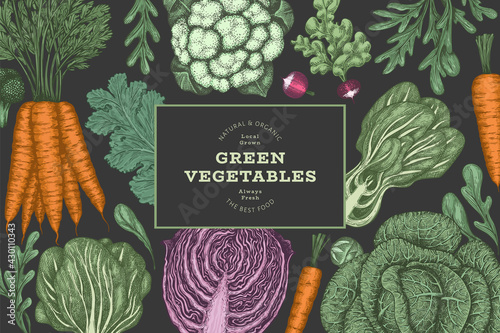Hand drawn vintage color vegetables design. Organic fresh food vector banner template. Retro vegetable background. Traditional botanical illustrations on dark background.