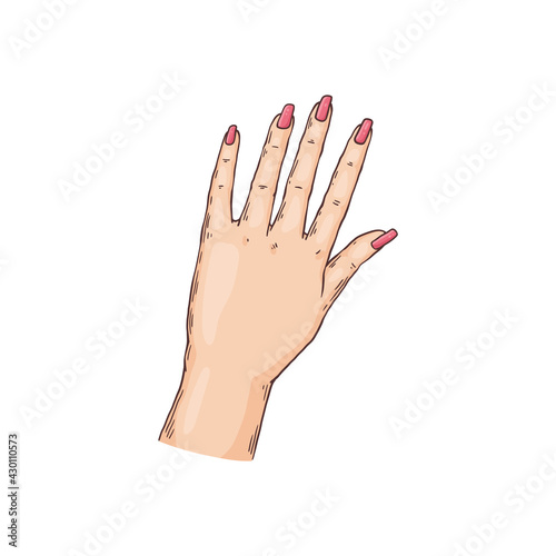 Female hand with pink nail polish manicure - isolated cartoon sketch