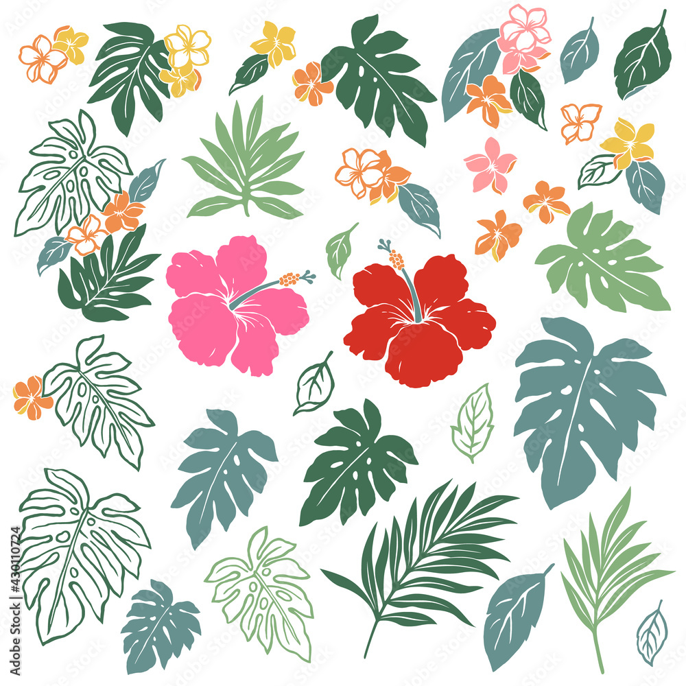 Tropical flower vector illustration material collection,