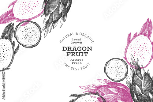 Hand drawn dragon fruit design template. Organic fresh food vector illustration. Retro pitaya fruit banner.
