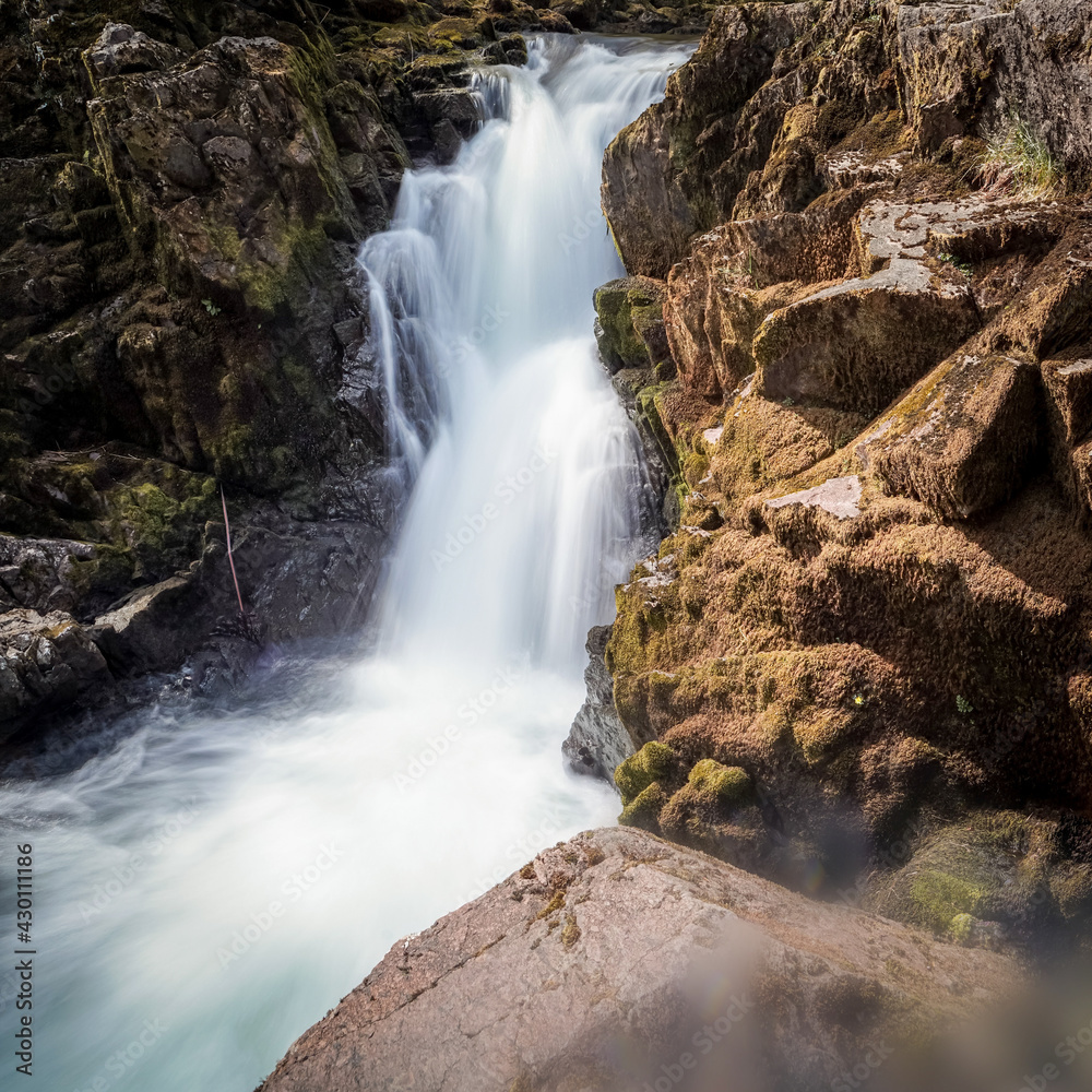 Obraz premium waterfall in the forest