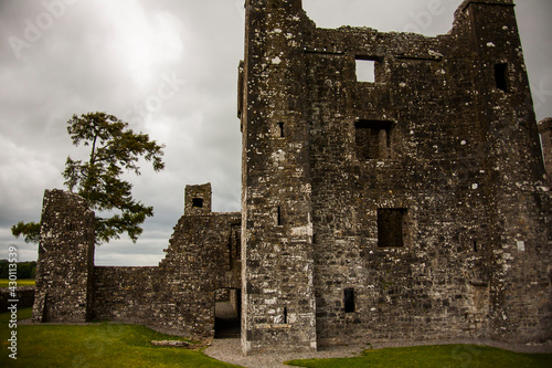 Spring in Bective Abbey (Mainistir Bheigti), Ireland photo