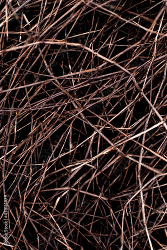 background of the brown dry grass