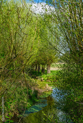 Bach in der Saarner Aue in Mülheim Ruhr