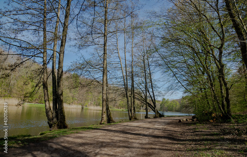 Obraz na płótnie Bäume-Bruderbäume w salonie