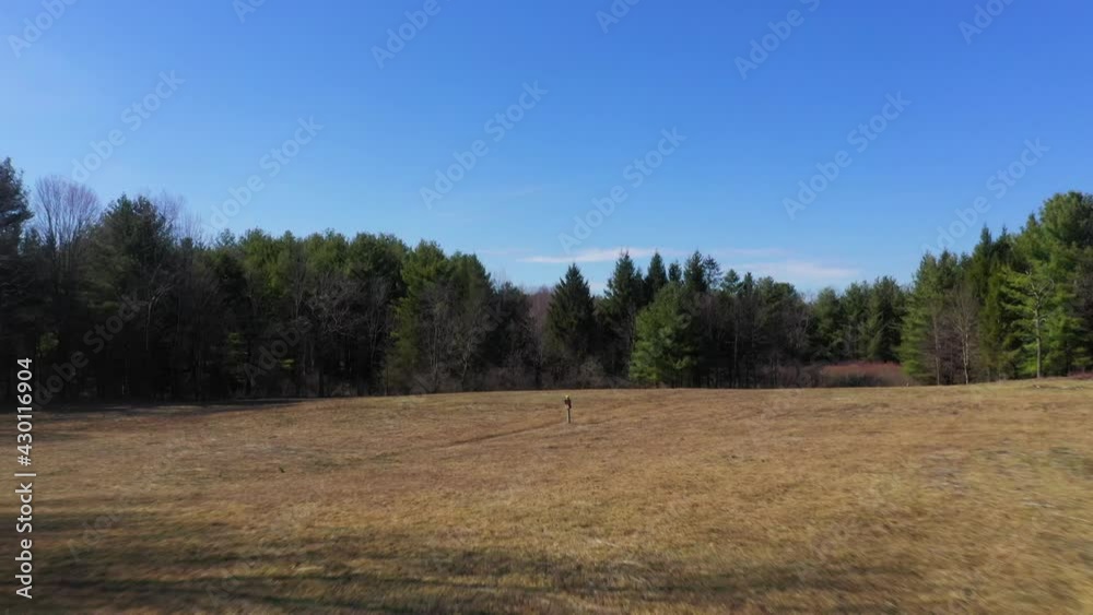 View of an Open Field in the Country View of an Open Field in the Country