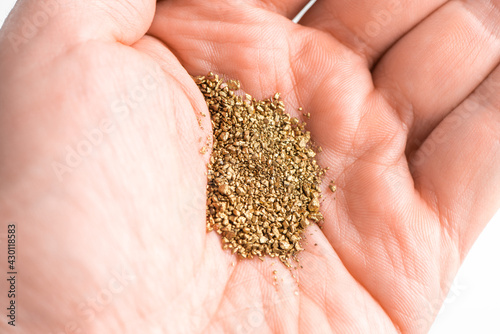 Close-up on raw golden nuggets in men's hand