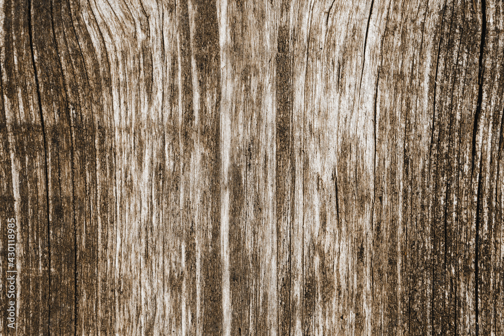 Obraz premium Wood pattern. Closeup wood texture. Wooden closeup texture. Simple wood background. Grunge tree section. Growth rings wooden desk. Brown natural stripes backdrop.