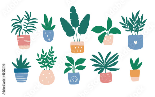 Hand-drawn house plant in colorful pot. Trendy cozy home garden decor. Urban jungle vector illustration set. Succulent, ficus, banana tree. Modern potted flowers in Scandinavian style. Pastel colors.