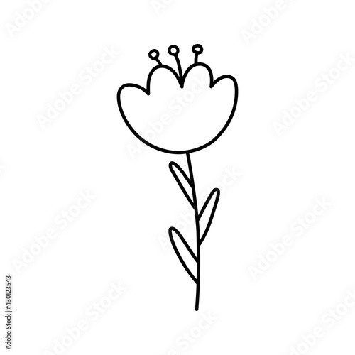 doodle with plants, flower, grass, tulip. Linear vector illustration. hand drawn style symbols and objects . simple, black drawing for sticker, decor, postcard, icon, coloring page, logo.