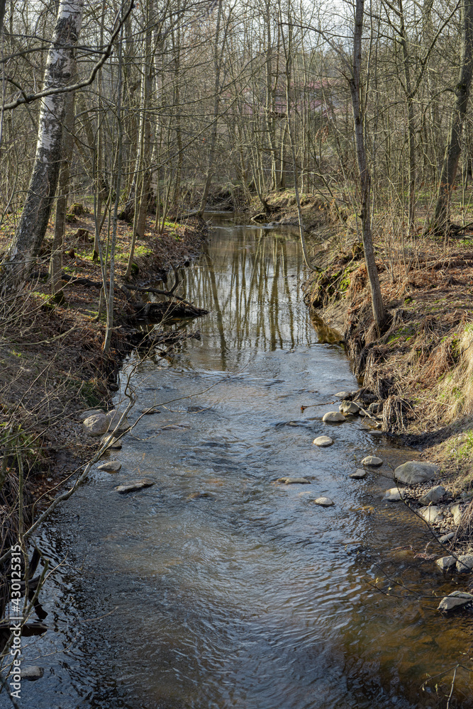 Small stream on a spring day Natural background Small stream on a spring day Natural background