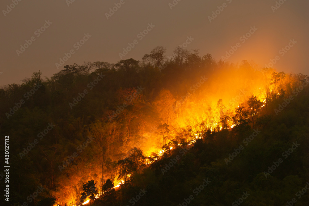 The orange forest fire on the mountain at night looks terrifying. Is spreading, causing dust and toxic fumes in northern Thailand. It is a big problem for Thai people in the summer.