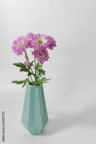 Pink chrysanthemums on white background in a vase close up © KiNOVO