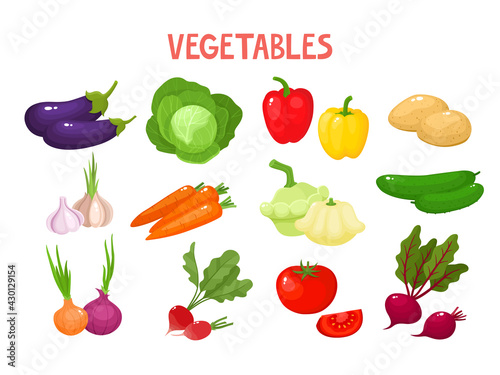 Bright vector illustration of colorful vegetables isolated on white