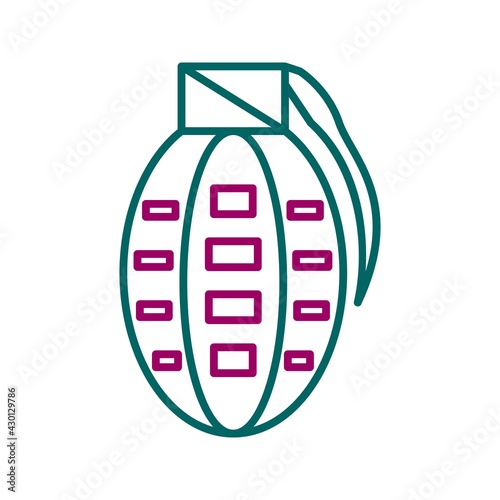 Unique Bomb Vector Line Icon