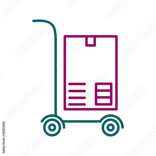 Unique Carry Package Vector Line Icon
