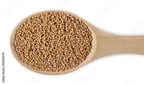 Yellow mustard seeds in wooden spoon isolated on white background, top view