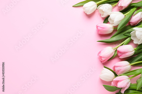 Fototapeta Naklejka Na Ścianę i Meble -  Beautiful spring tulips on pink background, flat lay. Space for text