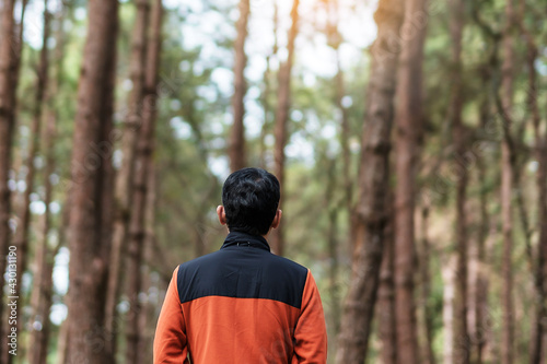 Happy traveler man standing and looking Pine tree forest, solo tourist in orange sweater traveling at Pang Oung, Mae Hong Son, Thailand. travel, trip and vacation concept
