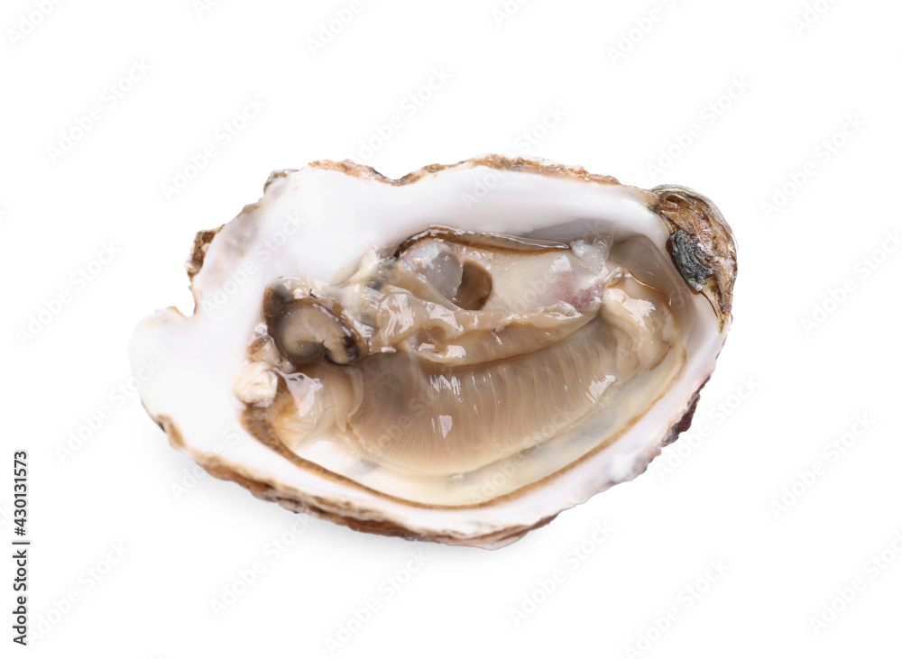 Fresh raw open oyster on white background Fresh raw open oyster on white background