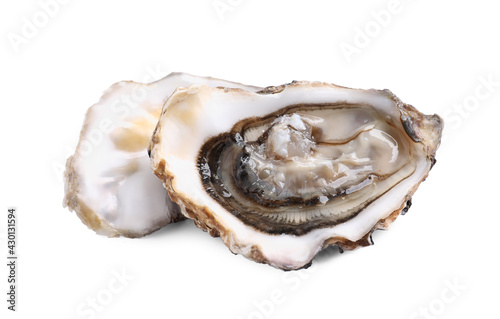 Fresh raw open oyster on white background
