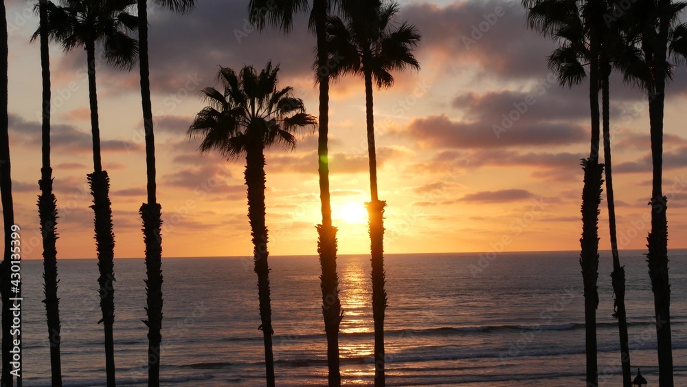 Palms silhouette on twilight sky, California USA, Oceanside. Dusk gloaming nightfall atmosphere. Tropical pacific ocean beach, sunset afterglow aesthetic. Dark black palm tree, Los Angeles vibes.