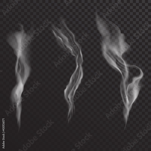 Vector Set Realistic Streams of Transparent Isolated Smoke Set Design Elements Cigarette Marijuana Smoke
