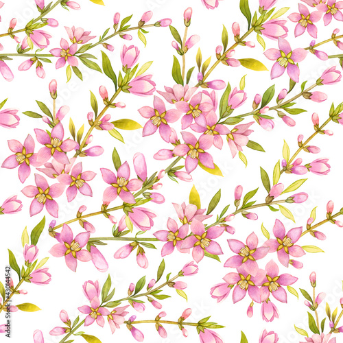 Floral seamless pattern. Spring flowers on a white background. Watercolor.