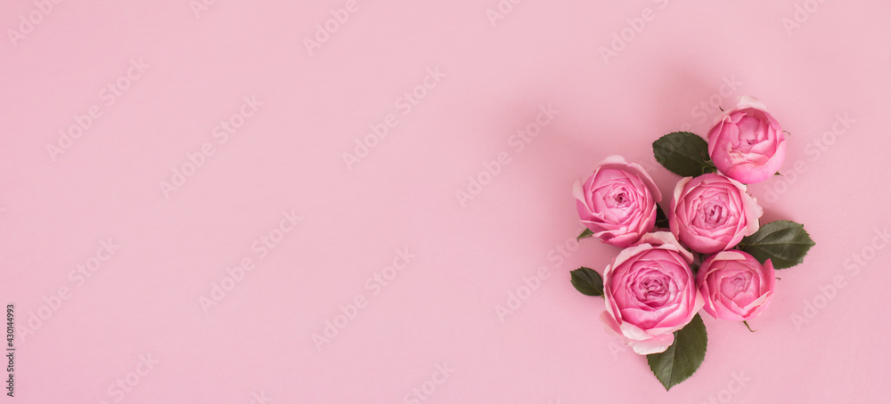 Spring flower arrangement of fresh roses on a light pastel background. Festive floral concept with copy space Spring flower arrangement of fresh roses on a light pastel background. Festive floral concept with copy space
