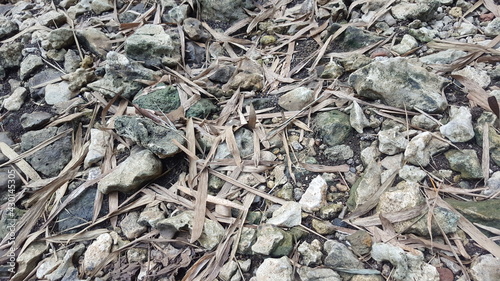 dry bamboo leaves scattered on the pebbles