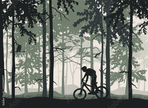 Silhouette of mountain bike rider in magical misty forest. Wild nature landscape. Owl on branch. Black and white illustration.