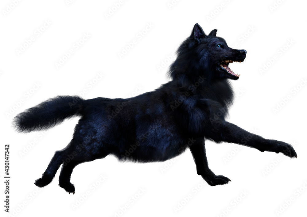3D Rendering Black Wolf on White 3D Rendering Black Wolf on White