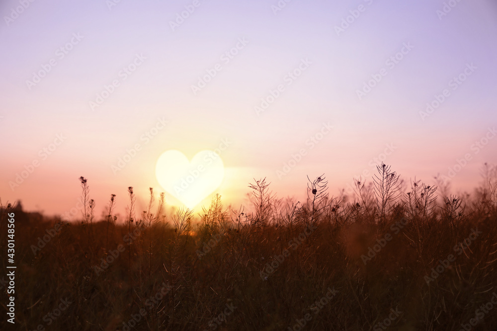 Picturesque view of field and beautiful sunset