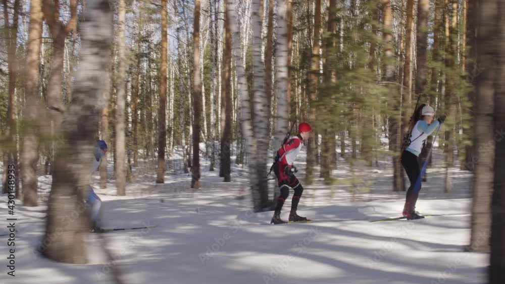 Tracking side view shot of professional biathletes skiing with poles through forest during winter ski race