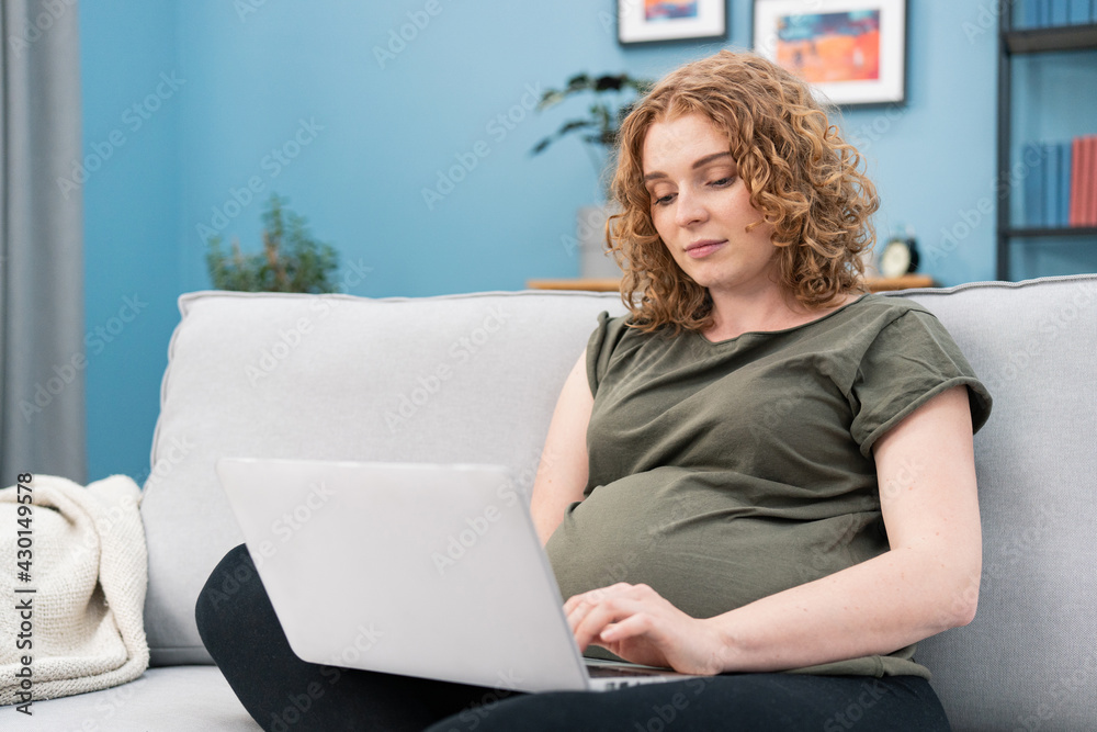 Beautiful pregnant woman using a laptop while working at cozy home. Girl typing something on laptop while sitting on couch in her in living room. Beautiful pregnant woman using a laptop while working at cozy home. Girl typing something on laptop while sitting on couch in her in living room.