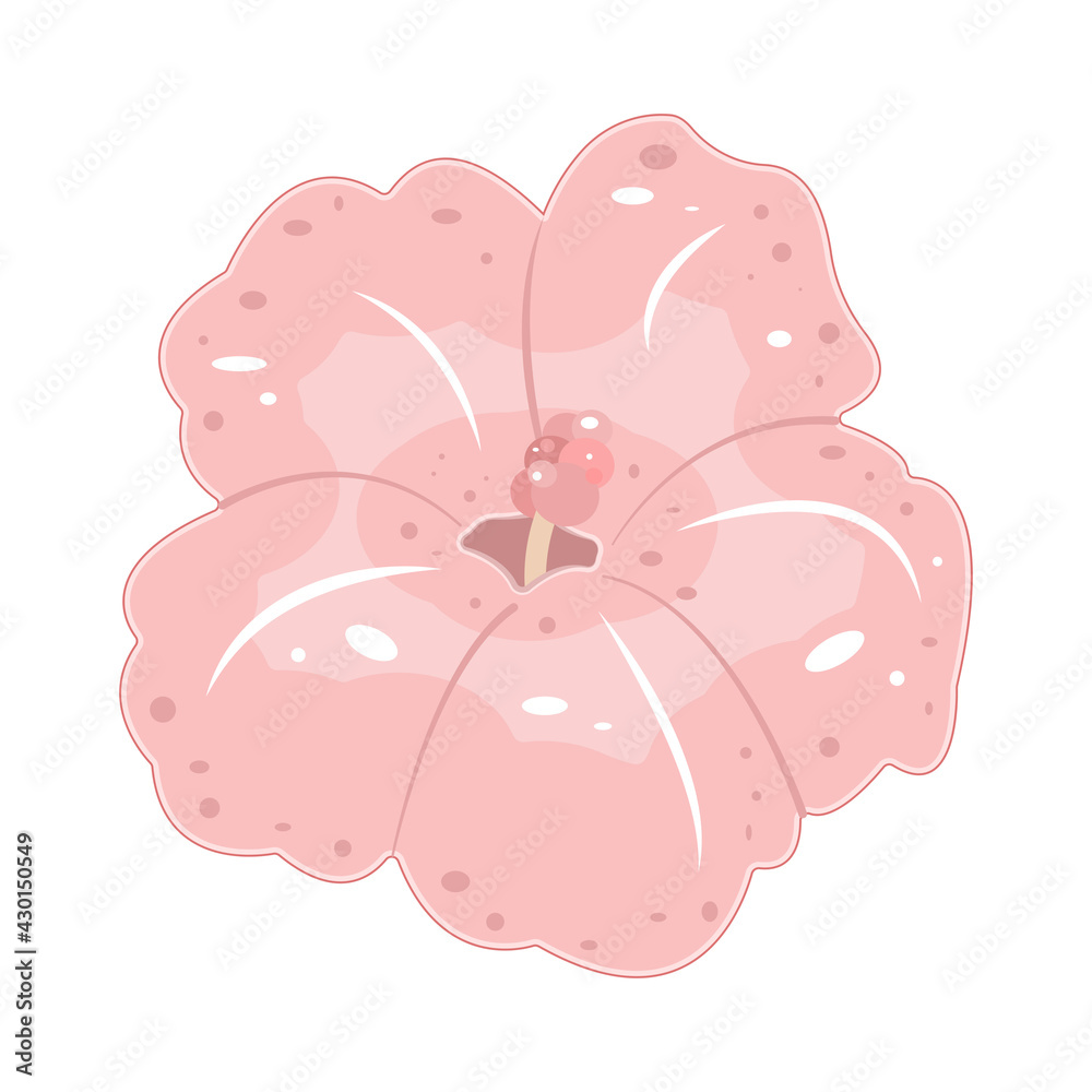 Tropical pink flower. Vector illustration. Tropical pink flower. Vector illustration.