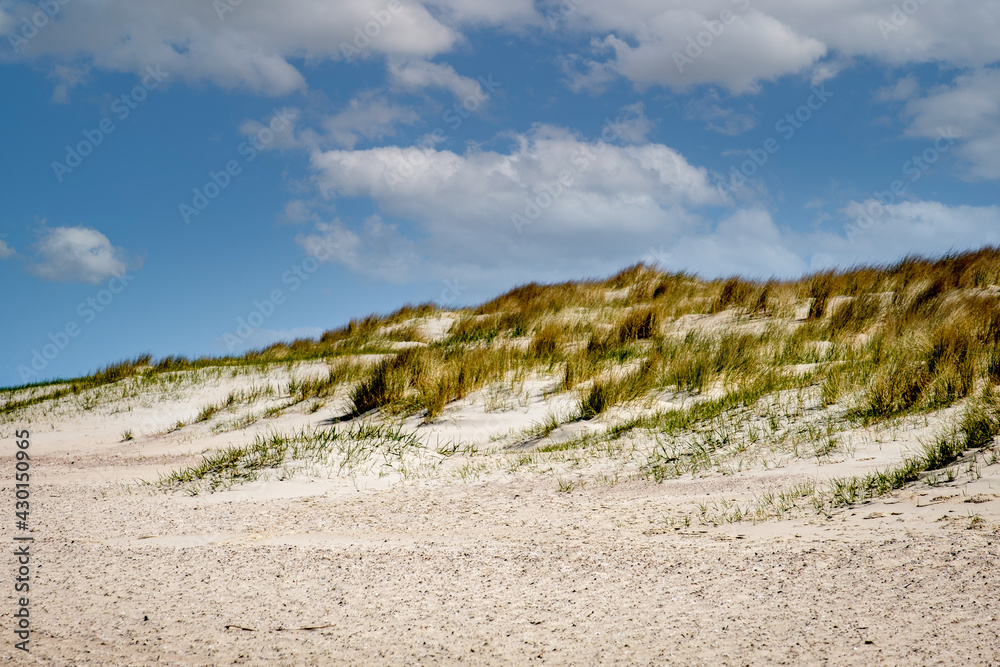 Dunes at the North Sea coast in The Netherlands at Cadzand-Bad in the province Zeeland on a cold but sunny day in April 2021. 