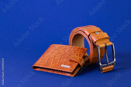 Brown reptile leather wallet and belt on blue fabric background. Fashion and shopping concept