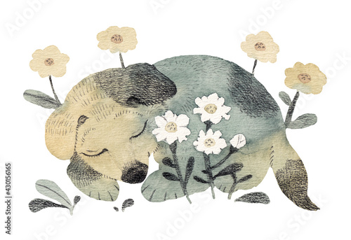 花畑で眠る子犬