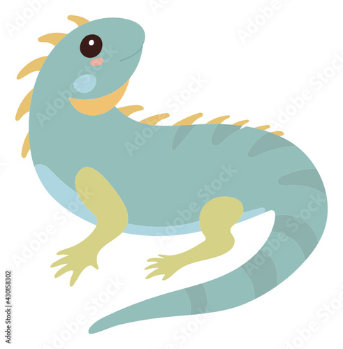 Iguana