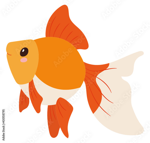 Goldfish
