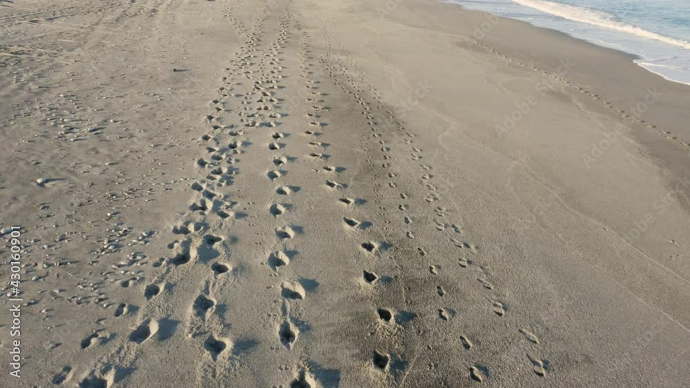 Impronte di cavalli sulla spiaggia Impronte di cavalli sulla spiaggia